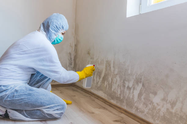Crawl Space Mold Removal in Omaha, NE